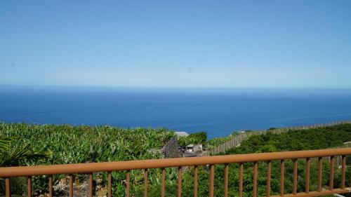 Naturlandskabet i nærheden af lejligheden