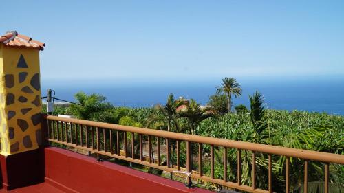 Naturlandskabet i nærheden af lejligheden