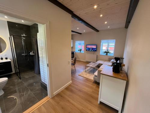 a bathroom with a shower and a living room at Luxurious apartment in Manor House in Bælum