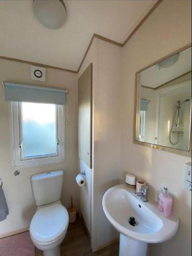 a bathroom with a toilet and a sink and a mirror at Caravan - 3 Bedrooms, Sleeps 8 in Rhyl
