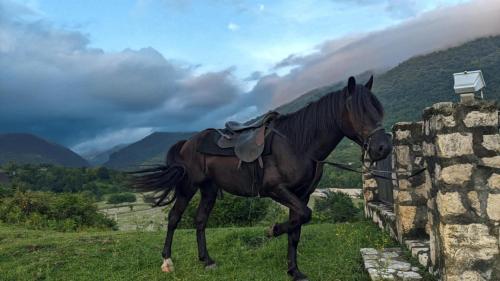 a horse standing on top of a stone wall at Martvili Guest House OASIS in Martvili