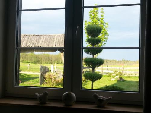 a window with a view of a garden through it at Wiejska Chata in Szwalk