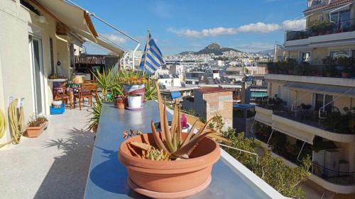 a balcony with potted plants on top of a building at cozy διαμέρισμα με υπέροχη θέα ! in Athens