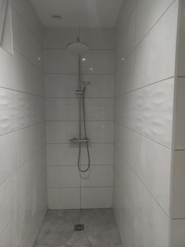 a bathroom with a shower with a shower head at GITE LA HOUBETTE VUE MAGNIFIQUE - Nature in Dommartin-lès-Remiremont