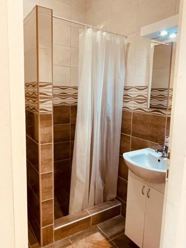 a bathroom with a shower and a sink at Apartmani Andrijana in Veliko Gradište