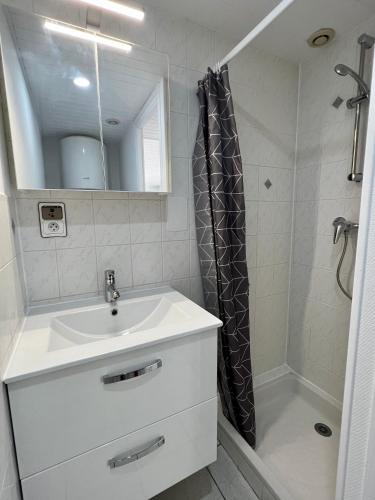 a bathroom with a sink and a shower at Chez Laurie et Xavier studio 3 in Mignaloux-Beauvoir