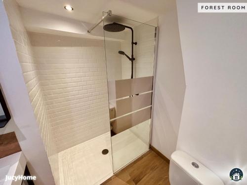 La salle de bains est pourvue d'une douche en verre et de toilettes. dans l'établissement Forest, à Valenciennes