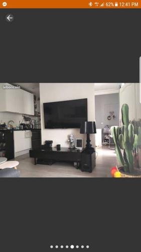 un salon avec une télévision à écran plat et un cactus dans l'établissement Appartement près de Rolland Garros et le parc des Princes, à Paris
