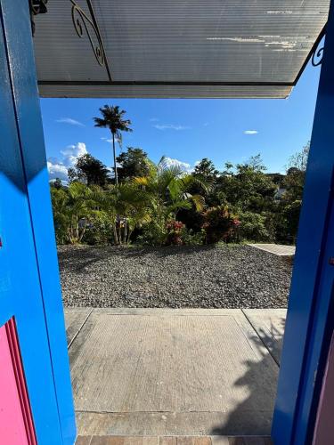 a view of a palm tree from an open door at Hotel El Jardin in Salento