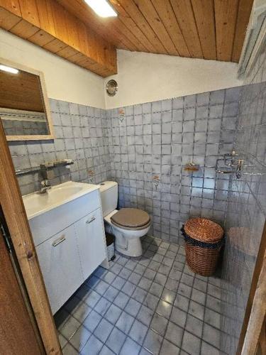 une salle de bain avec toilettes et lavabo dans l'établissement Appartement centre Village Grand Bornand, au Grand-Bornand