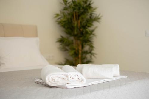 Living Culture Apartments