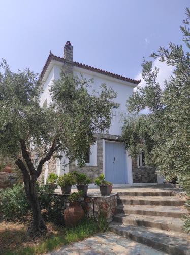 a white house with trees in front of it at Lionaki House in Skopelos Town