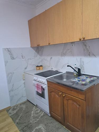 a kitchen with a sink and a stove at Tara Bozic Apartmani in Kaludjerske Bare