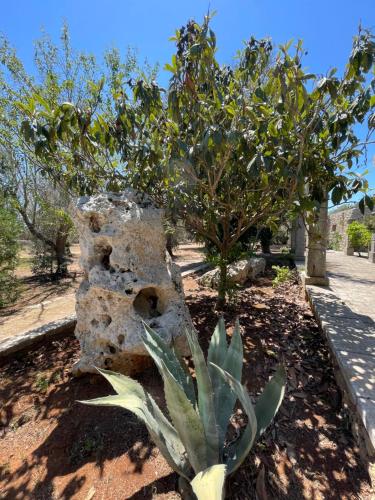 Fotografie z fotogalerie ubytování Agriturismo Salento Pietralata v destinaci Andrano
