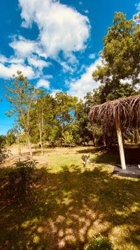 a grass roofed hut with a field and trees at River paradise safari house with cooking class in Udawalawe