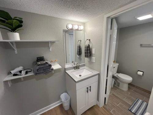 a bathroom with a sink and a toilet at Aksarben Apt-Cozy One Bedroom in Omaha