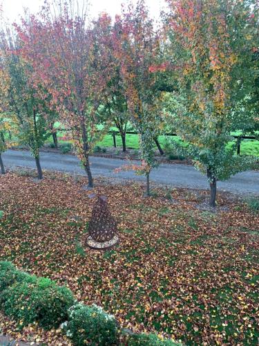 a park with trees with leaves on the ground at The Grange Berrima - The Ultimate Rural Retreat in Berrima