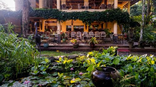 Zahrada ubytování Kayu Arum Resort