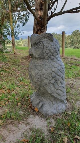 a statue of an owl sitting next to a tree at Counting Stars in Yarragon