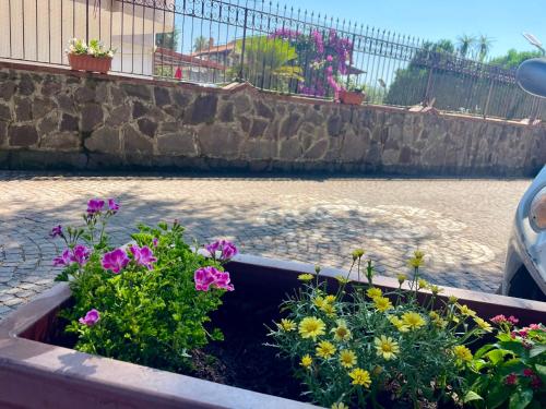 a flower garden in a box with flowers at Da Ste in Ercolano