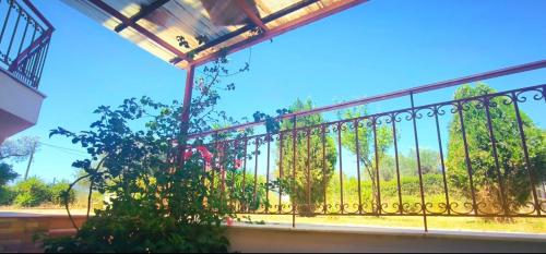 Gallery image of Kounis Villa in Chalkida