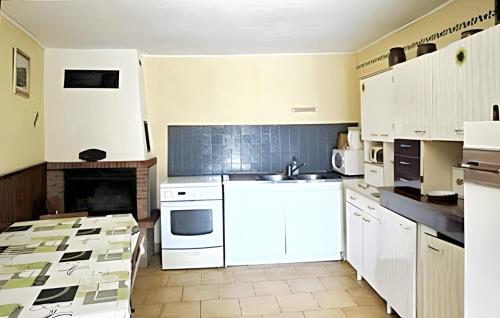 a kitchen with white appliances and a fireplace at Maison charmante à Ombrée d'Anjou avec jardin et terrasse in Bourg-lʼÉvêque