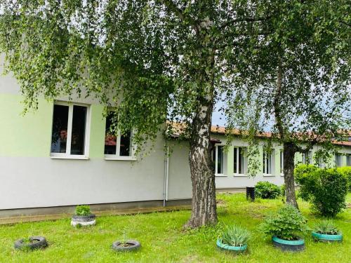 a house with a tree and some plants in the yard at Turistická ubytovňa in Rozhanovce