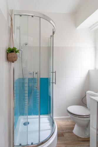 une salle de bain avec douche et toilettes dans l'établissement C11 - 1 BDR Rue Meynadier 5min Palais Festivals & Sea - AC, à Cannes