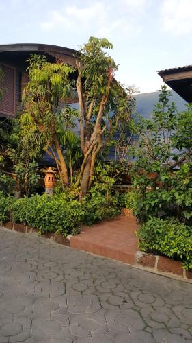 a house with a tree in front of a sidewalk at Ruean Mai Chai Khlong in Amphawa