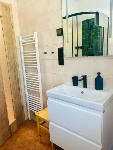 a bathroom with a white sink and a mirror at Vila Silva Karlova Studánka in Karlova Studánka
