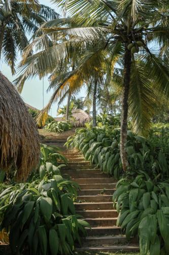 Un jardín fuera de Tekanda Lodge