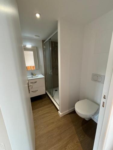 a small bathroom with a toilet and a shower at Gites du Manoir de Kergoniou Saint Joseph in Paimpol