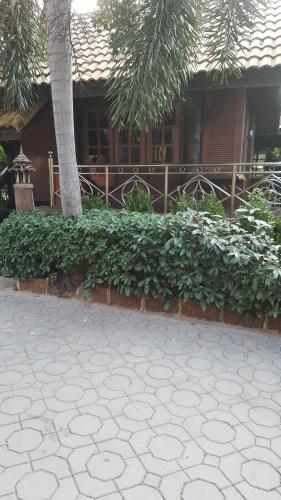a building with a tree in front of a courtyard at Ruean Mai Chai Khlong in Amphawa