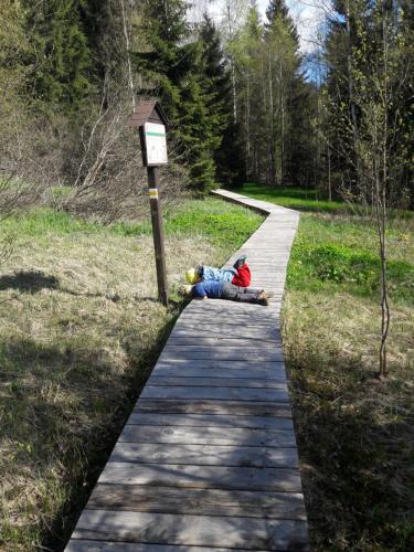 a person laying on a path in a park at Prázdninový dům - Apartmány Vltavice in Horní Vltavice