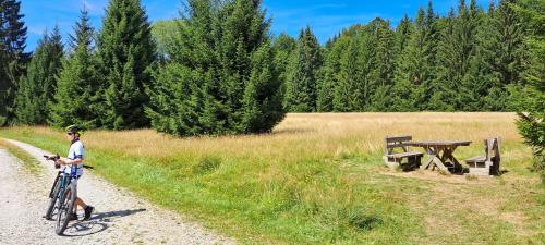 a man riding a bike down a dirt road at Prázdninový dům - Apartmány Vltavice in Horní Vltavice
