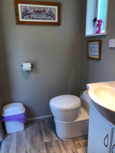 a bathroom with a toilet and a sink at Fantail at Bluestone Retreat in Leeston