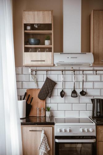 Η κουζίνα ή μικρή κουζίνα στο Pablo Apartment Cesis