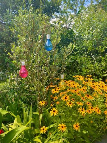 three colorful lights sitting in a field of flowers at Eliz Garden in Kutaisi