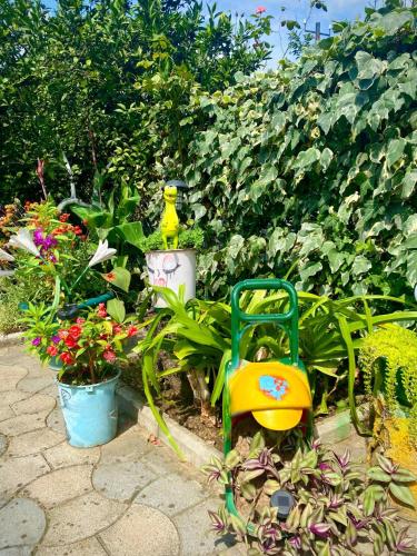 a garden with plants and a yellow gardening equipment at Eliz Garden in Kutaisi