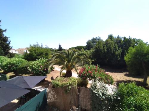 een tuin met een palmboom en een hek bij T2 MARINE Le LAVANDOU in Le Lavandou