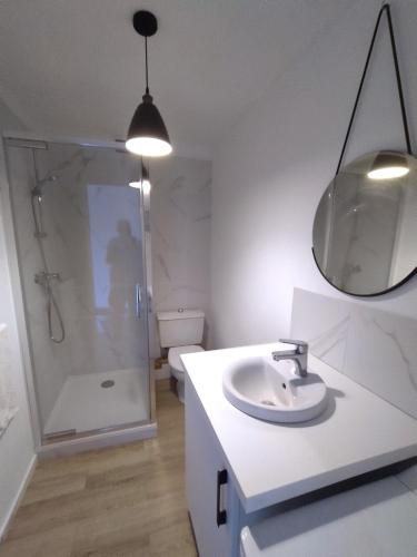 une salle de bain avec un lavabo, une douche et un miroir dans l'établissement T2 MARINE Le LAVANDOU, au Lavandou
