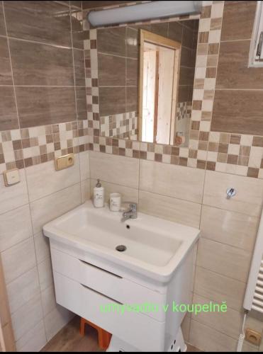 a bathroom with a sink and a mirror at Apartmánová chata Sečanda s bazénem, u Sečské přehrady in Seč