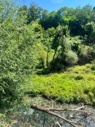 Φωτογραφία από το άλμπουμ του Lovely Riverline Apartment σε Bihać