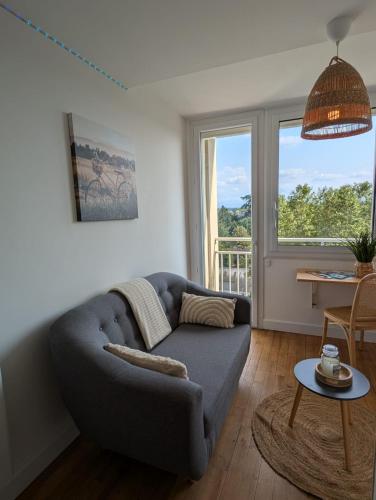 un salon avec un canapé et une table dans l'établissement Studio de Charme Cosy centre-ville, à Tarbes