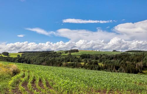 a field of crops on a hill with a blue sky at Kleiner Fuchs in Irrhausen