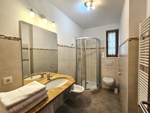 巴德小基希海姆Apartment Franca Bad Kleinkirchheim的带水槽、淋浴和马桶的浴室