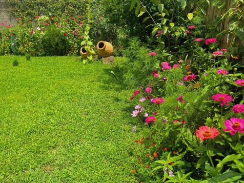 a lush green yard with pink flowers and a garden at Mountain View in Lagodekhi