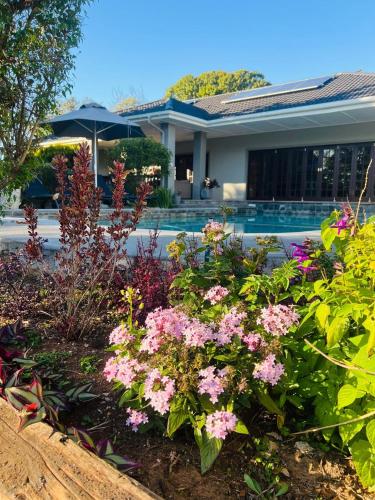 a garden with pink flowers in front of a house at Sir Roys Guest House in Port Elizabeth
