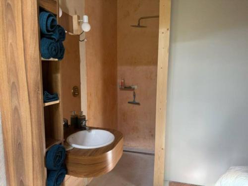 a bathroom with a white sink in a room at Magnifique eco-gîte des Marronniers avec terrasse in La Roquebrussanne