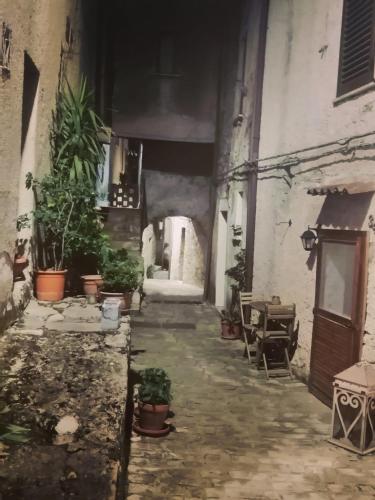 an alley with potted plants in an old building at #3MTSOPRAILCIELO '' SCuLPTuRe '' in Felitto